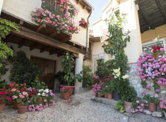 CASA EN CALLE LOGROÑO EN GUADALUPE