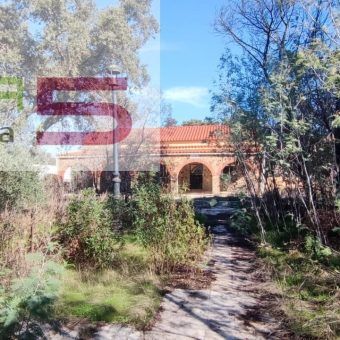 Chalet con parcela en Pedanias de Badajoz