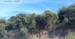Residencial en venta en Maria Antonia Fuertes, Campus Universitario