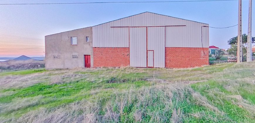 Nave Industrial Sancti-Spíritus (Badajoz)