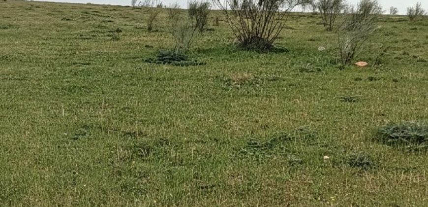 Suelo en venta en La Cañada