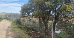 Residencial en venta en Maria Antonia Fuertes, Campus Universitario