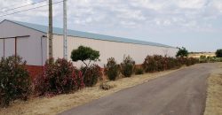 Nave Industrial Sancti-Spíritus (Badajoz)