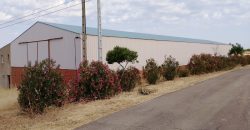 Nave Industrial Sancti-Spíritus (Badajoz)