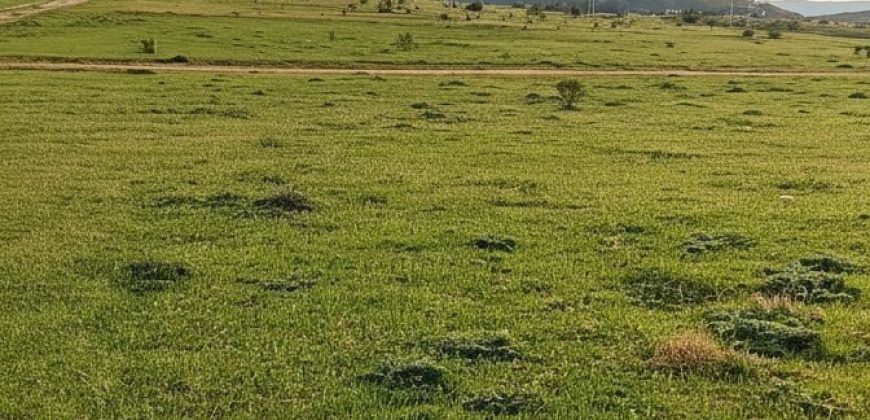 Suelo en venta en La Cañada