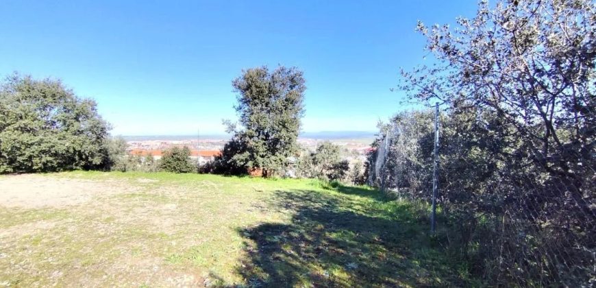 Residencial en venta en Maria Antonia Fuertes, Campus Universitario